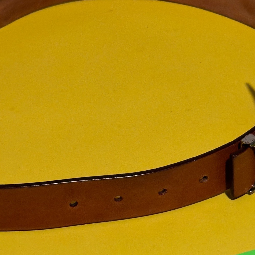 Louis Vuitton Tan Belt with Silver Buckle - Picture 6 of 15